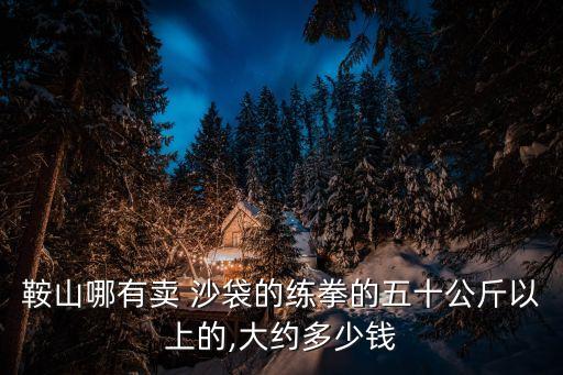 鞍山哪有賣 沙袋的練拳的五十公斤以上的,大約多少錢