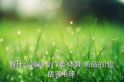 有什么網(wǎng)站專門賣 體育 用品的,包括羽毛球