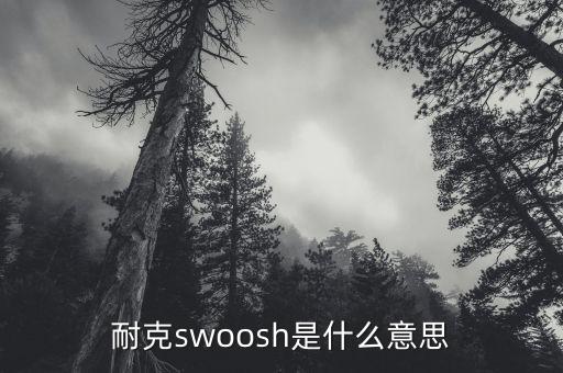 耐克swoosh是什么意思