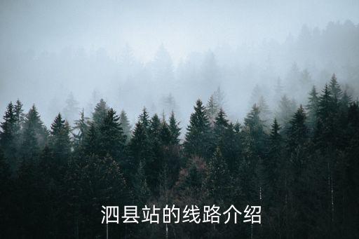  泗縣站的線路介紹