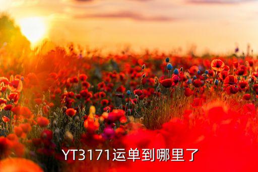  YT3171運單到哪里了