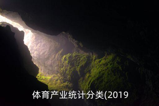  體育產(chǎn)業(yè)統(tǒng)計分類(2019