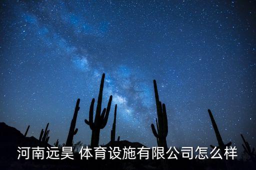 河南遠(yuǎn)昊 體育設(shè)施有限公司怎么樣