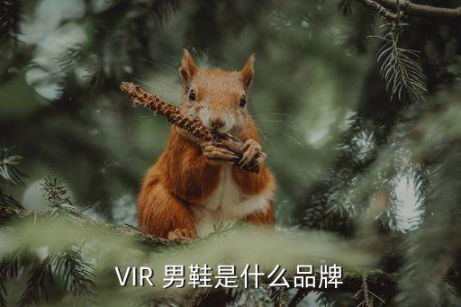 VIR 男鞋是什么品牌