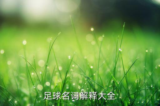 足球名詞解釋大全