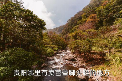  貴陽(yáng)哪里有賣芭蕾腳尖鞋的地方