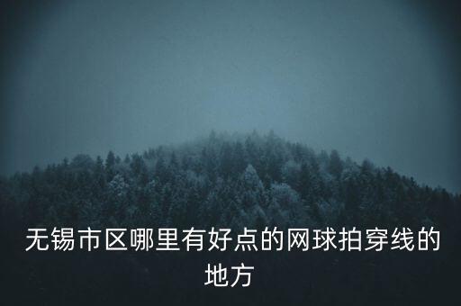  無錫市區(qū)哪里有好點(diǎn)的網(wǎng)球拍穿線的地方