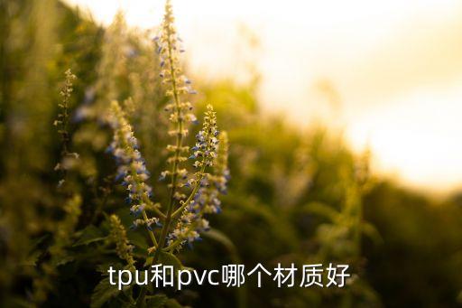 tpu和pvc哪個材質(zhì)好