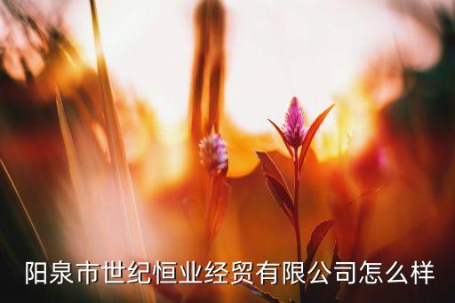  陽泉市世紀恒業(yè)經(jīng)貿(mào)有限公司怎么樣