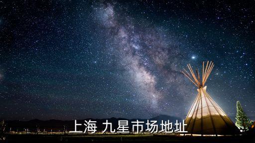  上海 九星市場地址