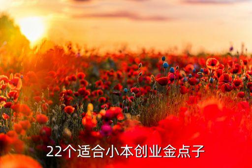 22個(gè)適合小本創(chuàng)業(yè)金點(diǎn)子