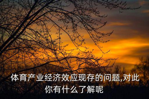  體育產(chǎn)業(yè)經(jīng)濟(jì)效應(yīng)現(xiàn)存的問(wèn)題,對(duì)此你有什么了解呢