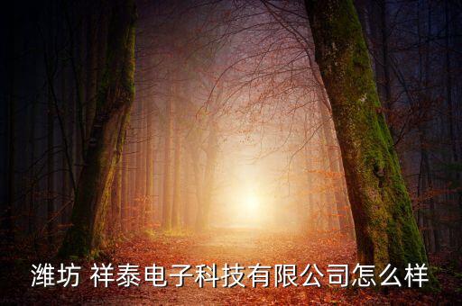 濰坊 祥泰電子科技有限公司怎么樣