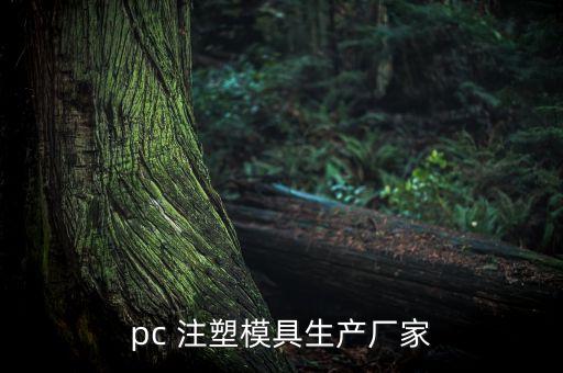 pc 注塑模具生產(chǎn)廠家