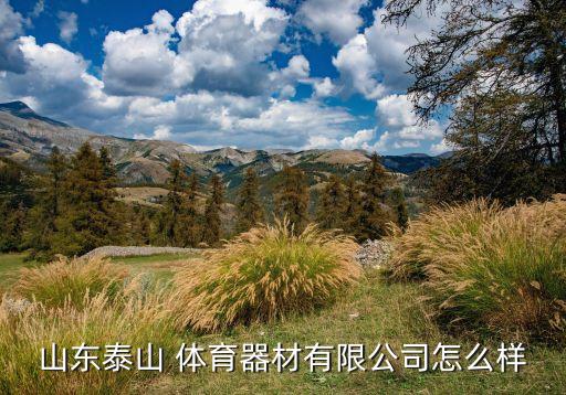 山東泰山 體育器材有限公司怎么樣