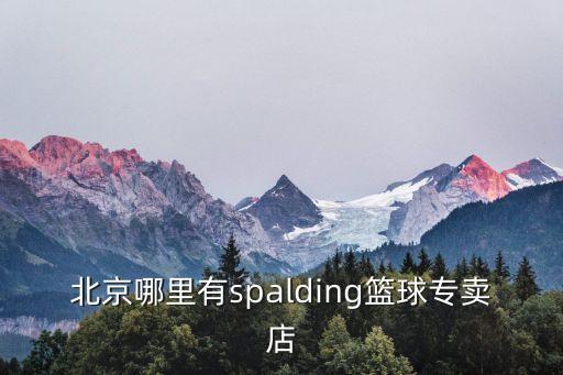 北京哪里有spalding籃球?qū)Ｙu(mài)店