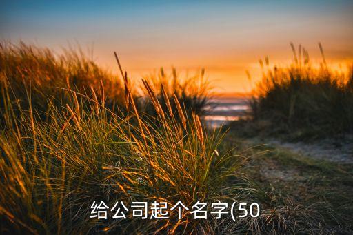 給公司起個名字(50