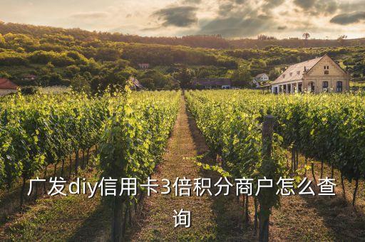 廣發(fā)diy信用卡3倍積分商戶怎么查詢