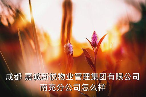 成都 嘉誠新悅物業(yè)管理集團有限公司南充分公司怎么樣