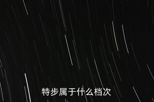 特步屬于什么檔次