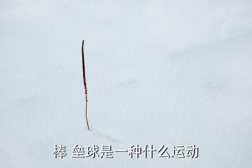 棒 壘球是一種什么運(yùn)動(dòng)