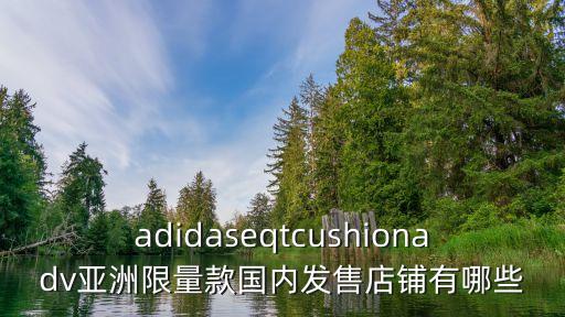 adidaseqtcushionadv亞洲限量款國內發(fā)售店鋪有哪些