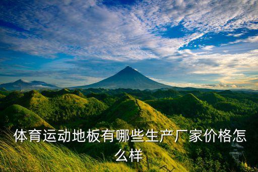  體育運(yùn)動(dòng)地板有哪些生產(chǎn)廠家價(jià)格怎么樣