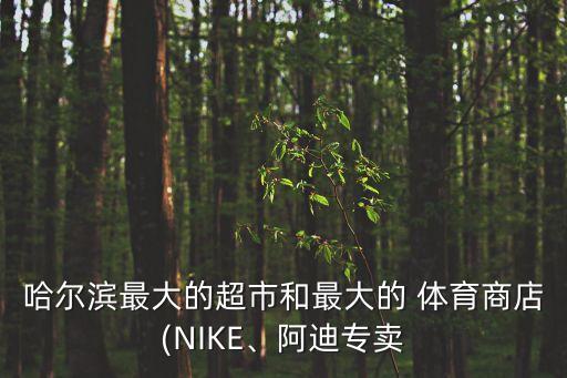 哈爾濱最大的超市和最大的 體育商店(NIKE、阿迪專賣(mài)