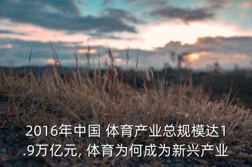 2016年中國 體育產業(yè)總規(guī)模達1.9萬億元, 體育為何成為新興產業(yè)