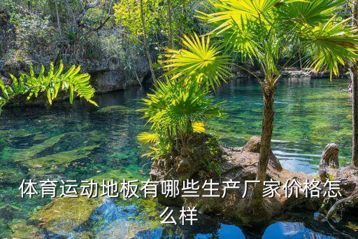  體育運(yùn)動(dòng)地板有哪些生產(chǎn)廠(chǎng)家價(jià)格怎么樣