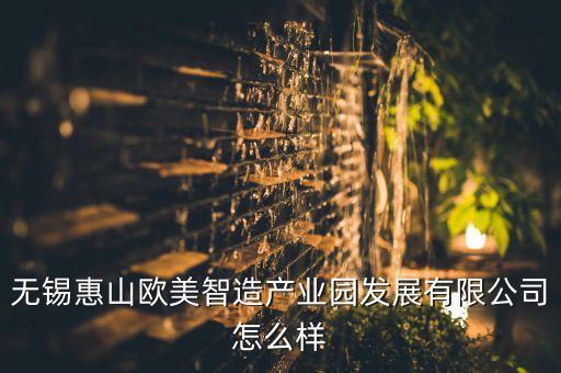 無錫惠山歐美智造產(chǎn)業(yè)園發(fā)展有限公司怎么樣