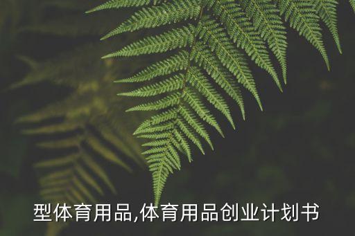 通用型體育用品,體育用品創(chuàng)業(yè)計(jì)劃書