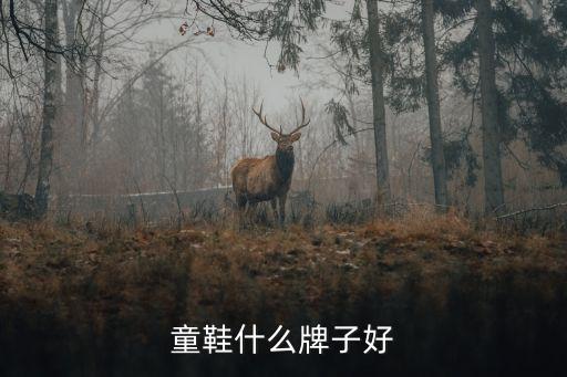 童鞋什么牌子好