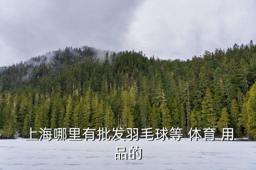  上海哪里有批發(fā)羽毛球等 體育 用品的