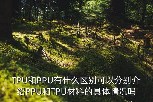 TPU和PPU有什么區(qū)別可以分別介紹PPU和TPU材料的具體情況嗎