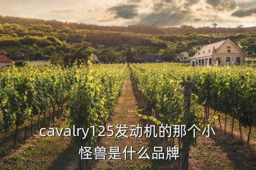 cavalry125發(fā)動(dòng)機(jī)的那個(gè)小 怪獸是什么品牌