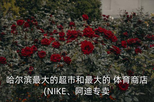 哈爾濱最大的超市和最大的 體育商店(NIKE、阿迪專賣