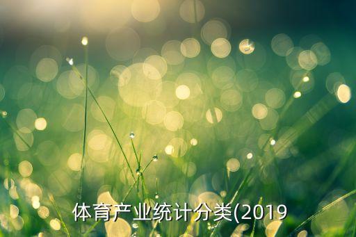  體育產(chǎn)業(yè)統(tǒng)計(jì)分類(2019