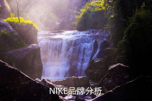 NIKE品牌分析