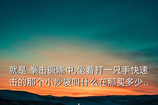 就是 拳擊鍛煉中,坐著打一只手快速擊的那個(gè)小沙袋叫什么在那買多少...