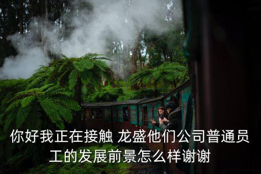 你好我正在接觸 龍盛他們公司普通員工的發(fā)展前景怎么樣謝謝