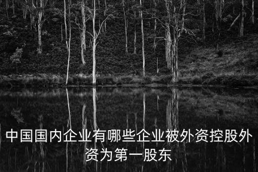 中國國內(nèi)企業(yè)有哪些企業(yè)被外資控股外資為第一股東