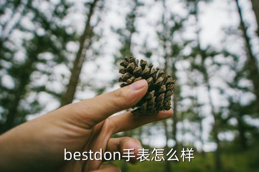 bestdon手表怎么樣