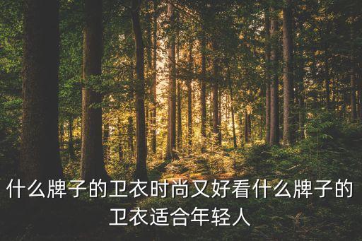 什么牌子的衛(wèi)衣時(shí)尚又好看什么牌子的衛(wèi)衣適合年輕人